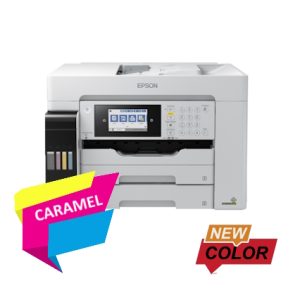 sewa fotocopy warna